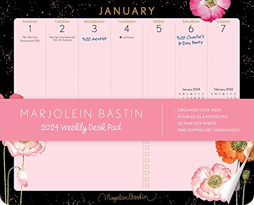 Marjolein Bastin 2024 Calendar: Pink Poppies von Andrews McMeel Publishing